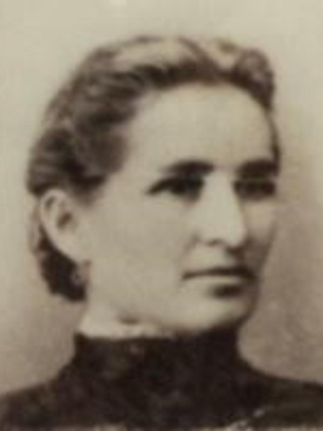 Wilhelmina Staeheli (1849 - 1915) Profile